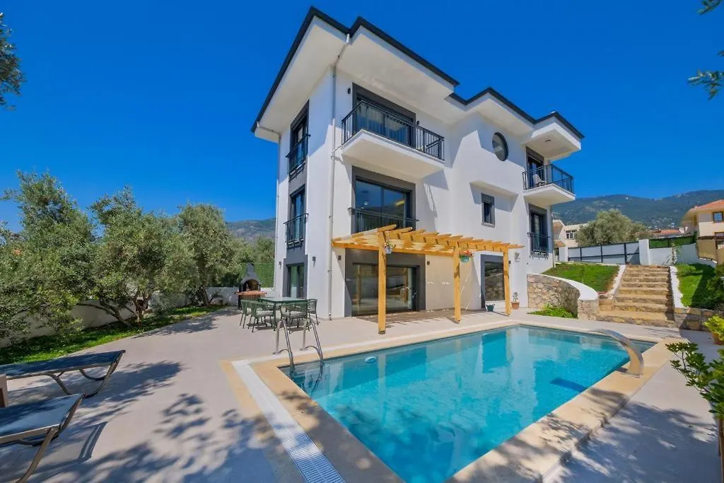 Arici Evi Delux Luxury Villa With Indoor And Outdoor Pool Fethiye 0*,  Turecko
